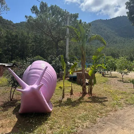Adrasan Camping