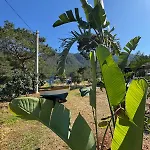 Adrasan